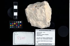 Foto (Objekt + Etikett) von Pithonoton sp.  (NHMW-GEO-2014-0194-0285)
